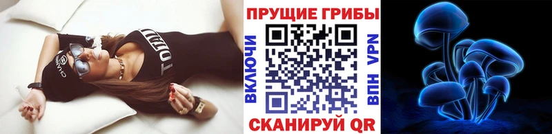Купить закладки  Нурлат  Галлюциногенные грибы мицелий 